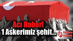 Van'da hain saldırı: 1 şehit, 2 yaralı