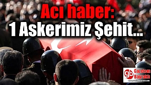 Barış Pınarı Harekatı'ndan acı haber: 1 şehit
