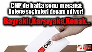 CHP'de hafta sonu mesaisi: Nerelerde sandık kurulacak