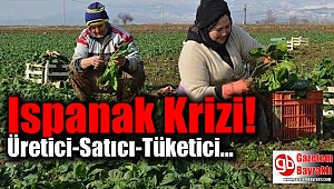 Ispanak Krizi Yaşanıyor
