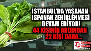 Ispanak zehirlenmeleri artıyor: 44 kişinin ardından 22 kişi daha zehirlendi