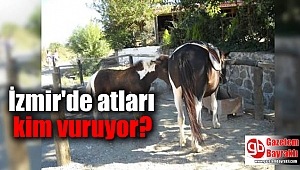 İzmir'de atları kim vuruyor