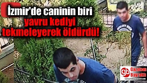 İzmir'de cani yavru kediyi tekmeleyerek öldürdü