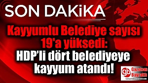 Kayyumlu Belediye sayısı 19'a yüksedi: HDP’li dört belediyeye daha kayyum atandı 