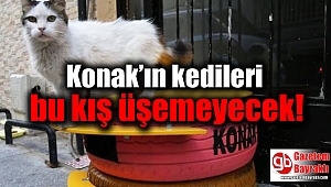 Konak’ın kedileri bu kış üşemeyecek