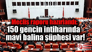 Meclis raporu hazırlandı: 150 gencin intiharında mavi balina şüphesi var