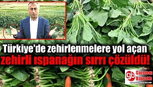 Türkiye'de zehirlenmelere yol açan zehirli ıspanağın sırrı çözüldü