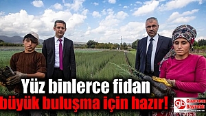 Yüz binlerce fidan büyük buluşma için hazır