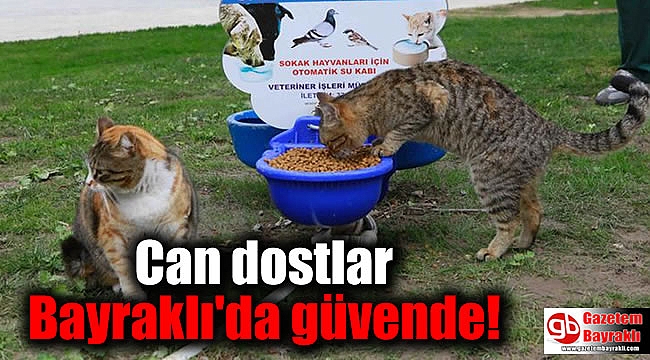 Can dostlar Bayraklı'da güvende