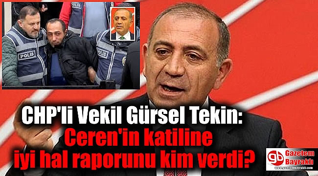 CHP'li Vekil Gürsel Tekin: Ceren'in katiline iyi hal raporunu kim verdi