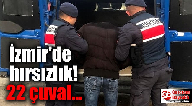 İzmir'de 22 çuval zeytin çalan hırsız yakalandı