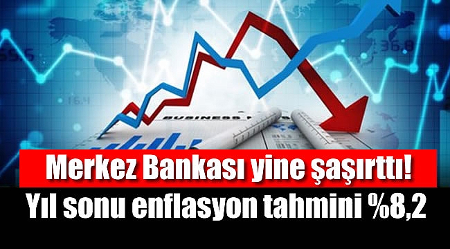 Merkez Bankası'nın yıl sonu enflasyon tahmini %8,2