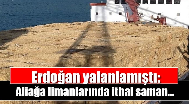 Erdoğan yalanlamıştı: Aliağa limanlarında ithal saman