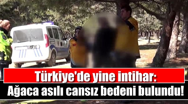 Türkiye'de yine intihar: Ağaca asılı cansız bedeni bulundu