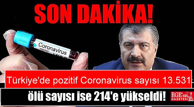 Sağlık Bakanı açıkladı: Türkiye'de Coronavirus pozitif sayısı 13.531, ölü sayısı 214 kişi