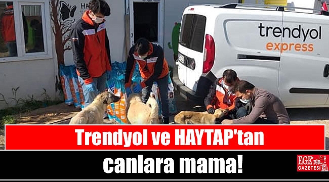 Trendyol ve HAYTAP'tan canlara mama
