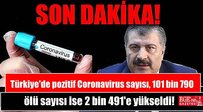 Türkiye'de Coronavirus pozitif vaka sayısı 101 bin 790 ölüm sayısı ise 2 bin 491'e yükseldi