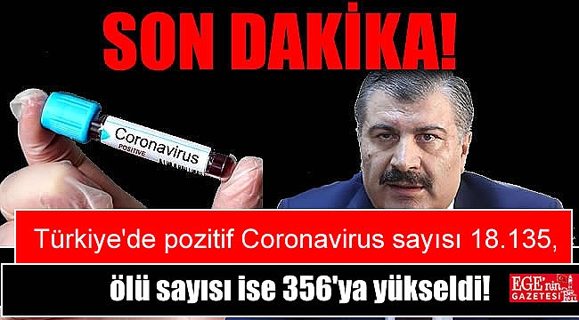 Türkiye'de pozitif Coronavirus sayısı 18.135, ölü sayısı ise 356'ya yükseldi!
