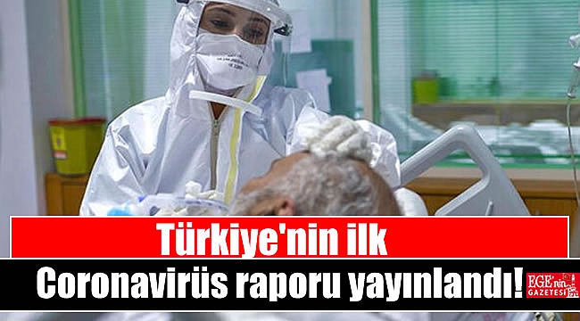 Türkiye'nin ilk Corona virüs raporu yayınlandı