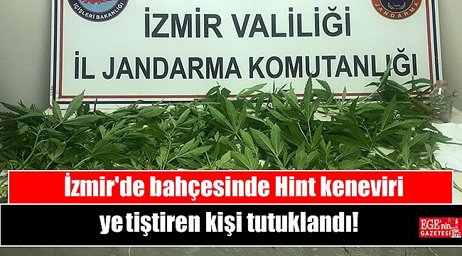 İzmir'de bahçesinde Hint keneviri yetiştiren kişi tutuklandı