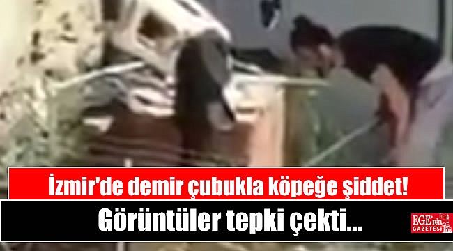 İzmir'de köpeğe şiddet görüntüleri tepki çekti
