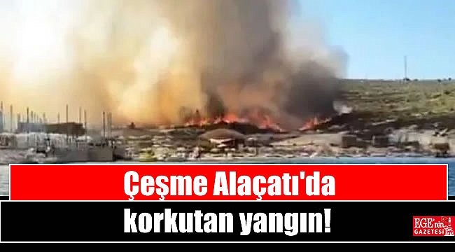 Çeşme Alaçatı'da korkutan yangın