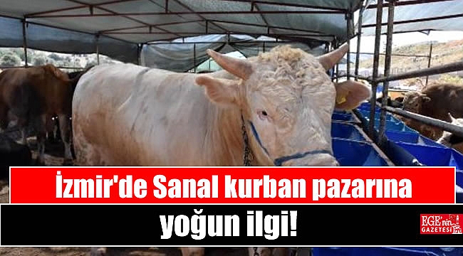 Sanal kurban pazarına yoğun ilgi