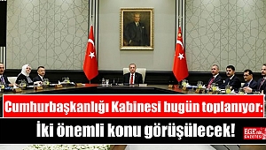 Cumhurbaşkanlığı Kabinesi bugün toplanıyor: İki önemli konu görüşülecek