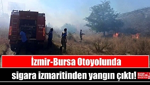 İzmir-Bursa Otoyolunda sigara izmaritinden yangın çıktı