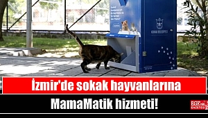 İzmir'de sokak hayvanlarına MamaMatik hizmeti
