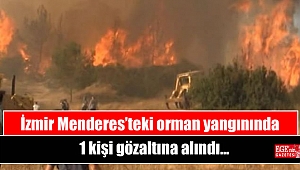 İzmir Menderes’teki orman yangınında 1 kişi gözaltına alındı