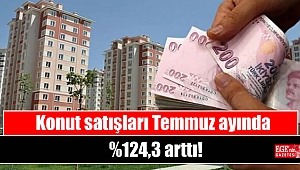 Konut satışları Temmuz ayında %124,3 arttı