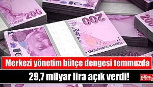 Merkezi yönetim bütçe dengesi temmuzda 29,7 milyar lira açık verdi