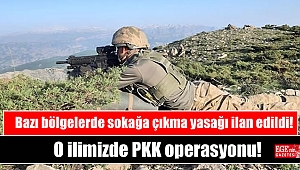 O ilimizde PKK operasyonu: Bazı bölgelerde sokağa çıkma yasağı ilan edildi