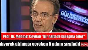 Prof. Dr. Mehmet Ceyhan