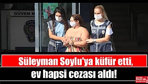 Süleyman Soylu'ya küfür etti, ev hapsi cezası aldı
