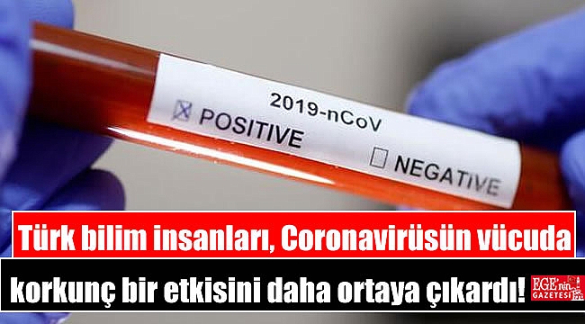 Türk bilim insanları, Coronavirüsün vücuda korkunç bir etkisini daha ortaya çıkardı
