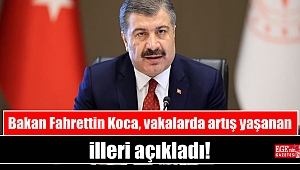 Bakan Fahrettin Koca, vakalarda artış yaşanan illeri açıkladı
