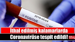 Çin'de, Rusya'dan ithal edilen dondurulmuş kalamarlarda Coronavirüse rastlandı