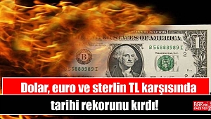 Dolar, euro ve sterlin TL karşısında tarihi rekorunu kırdı