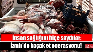 İnsan sağlığını hiçe saydılar: Kaçak et operasyonu
