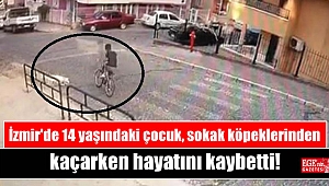 İzmir'de 14 yaşındaki çocuk, sokak köpeklerinden kaçarken hayatını kaybetti