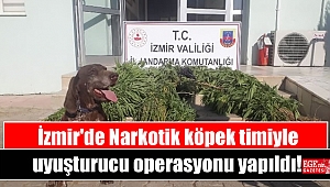 İzmir'de Narkotik köpek timiyle uyuşturucu operasyonu yapıldı