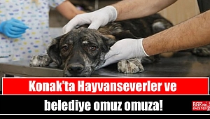Konak’ta Hayvanseverler ve belediye omuz omuza
