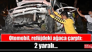 Otomobil, refüjdeki ağaca çarptı: 2 yaralı