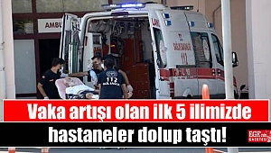 Vaka artışı olan ilk 5 ilimizde hastaneler dolup taştı