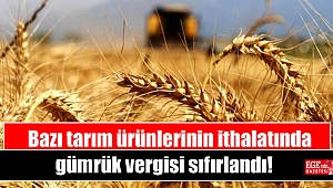 Bazı tarım ürünlerinin ithalatında gümrük vergisi sıfırlandı
