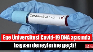 Ege Üniversitesi Covid-19 DNA aşısında hayvan deneylerine geçti