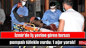 İzmir'de İş yerine giren hırsızı pompalı tüfekle vurdu: 1 ağır yaralı