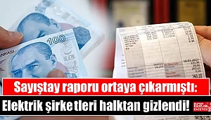 Sayıştay raporu ortaya çıkarmıştı: Elektrik şirketleri halktan gizlendi